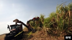 Zafra azucarera en Cuba 