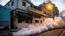 Es muy alto el nivel de infestación de mosquitos en Cuba, mientras que la campaña de fumigación es muy pobre